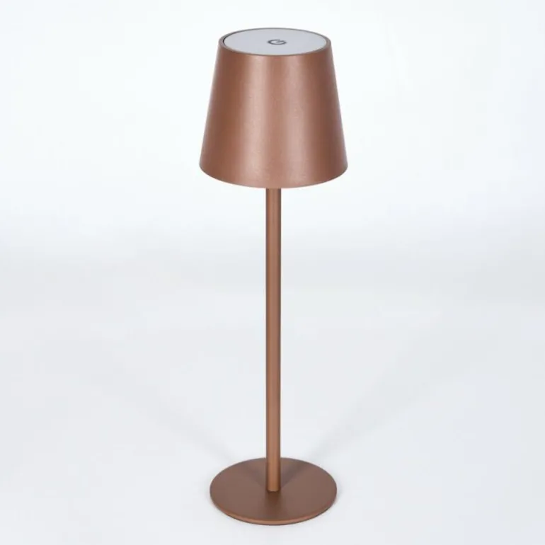 Vannie Lampe de table d'extérieur, Lampe à poser LED Brun, 1 lumière