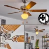 Ventilateur de plafond Apiao Brun, Couleur bois, Argenté, 1 lumière