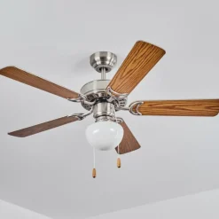 Ventilateur de plafond Apiao Brun, Couleur bois, Argenté, 1 lumière