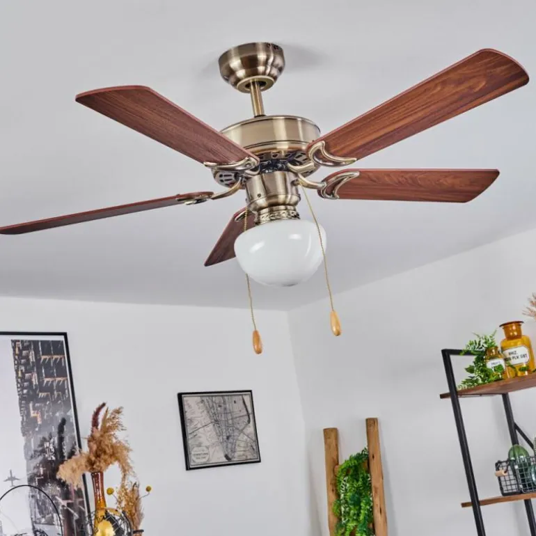 Ventilateur de plafond Apiao Brun, Brun clair, Couleur bois, Argenté, 1 lumière