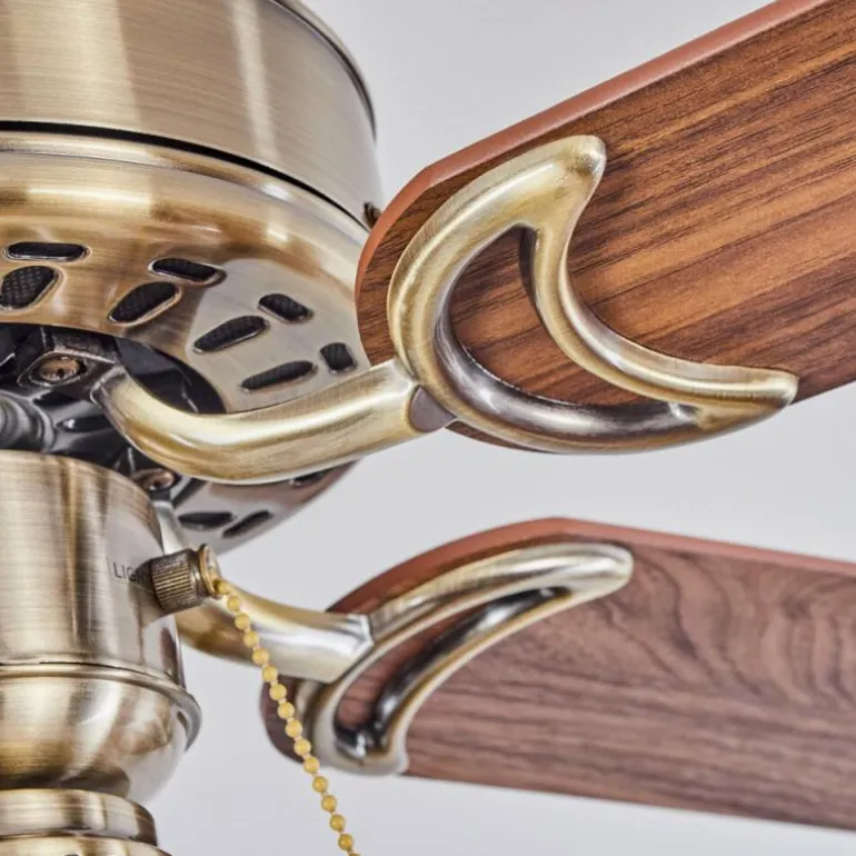 Ventilateur de plafond Apiao Brun, Brun clair, Couleur bois, Argenté, 1 lumière