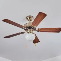 Ventilateur de plafond Apiao Brun, Brun clair, Couleur bois, Argenté, 1 lumière