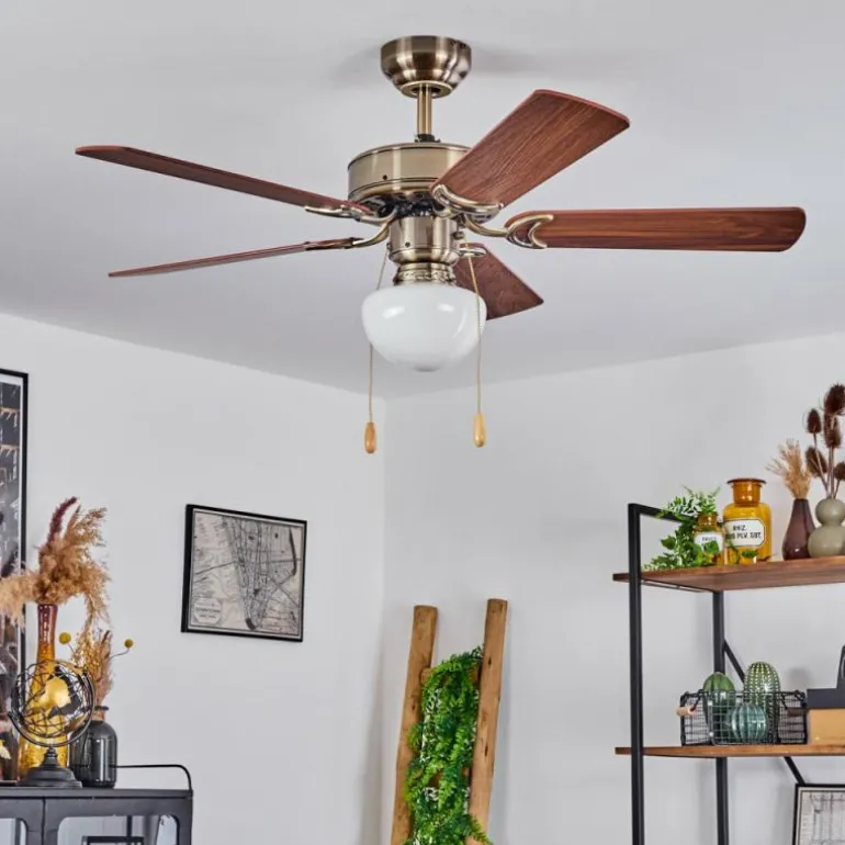 Ventilateur de plafond Apiao Brun, Brun clair, Couleur bois, Argenté, 1 lumière