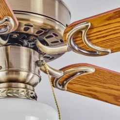 Ventilateur de plafond Apiao Brun, Brun clair, Couleur bois, Argenté, 1 lumière