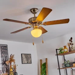 Ventilateur de plafond Apiao Brun, Brun clair, Couleur bois, Argenté, 1 lumière