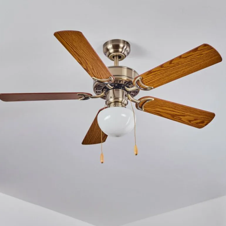 Ventilateur de plafond Apiao Brun, Brun clair, Couleur bois, Argenté, 1 lumière