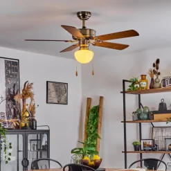 Ventilateur de plafond Apiao Brun, Brun clair, Couleur bois, Argenté, 1 lumière