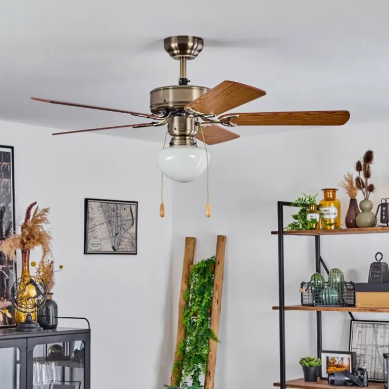 Ventilateur de plafond Apiao Brun, Brun clair, Couleur bois, Argenté, 1 lumière