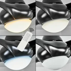 Ventilateur de plafond Malloa LED Noir, 1 lumière, Télécommandes