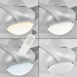 Ventilateur de plafond Malloa LED Titane, 1 lumière, Télécommandes