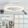 Ventilateur de plafond Azenha LED Blanc, 1 lumière, Télécommandes