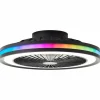 Ventilateur de plafond Brilliant Palmero Noir, 1 lumière, Télécommandes, Changeur de couleurs