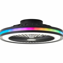 Ventilateur de plafond Brilliant Palmero Noir, 1 lumière, Télécommandes, Changeur de couleurs