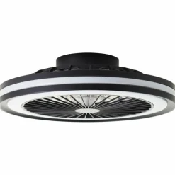 Ventilateur de plafond Brilliant Palmero Noir, 1 lumière, Télécommandes, Changeur de couleurs