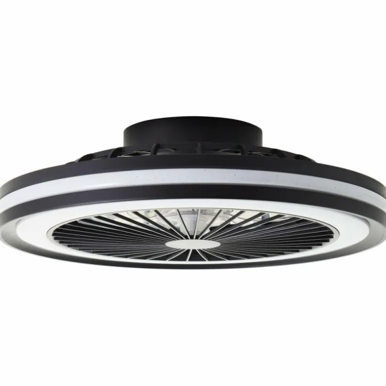 Ventilateur de plafond Brilliant Palmero Noir, 1 lumière, Télécommandes, Changeur de couleurs