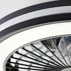 Ventilateur de plafond Brilliant Palmero Noir, 1 lumière, Télécommandes, Changeur de couleurs