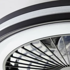Ventilateur de plafond Brilliant Palmero Noir, 1 lumière, Télécommandes, Changeur de couleurs
