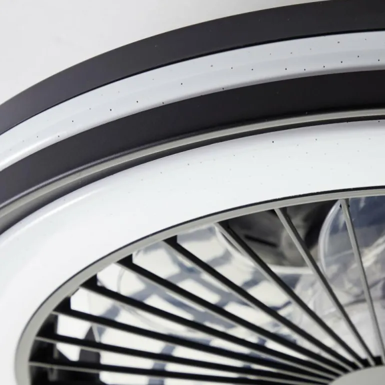 Ventilateur de plafond Brilliant Palmero Noir, 1 lumière, Télécommandes, Changeur de couleurs