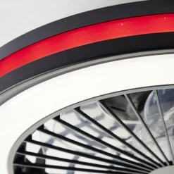 Ventilateur de plafond Brilliant Palmero Noir, 1 lumière, Télécommandes, Changeur de couleurs