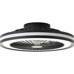 Ventilateur de plafond Brilliant Palmero Noir, 1 lumière, Télécommandes, Changeur de couleurs
