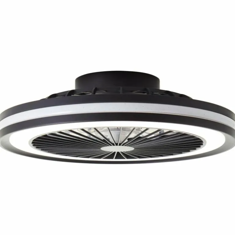 Ventilateur de plafond Brilliant Palmero Noir, 1 lumière, Télécommandes, Changeur de couleurs