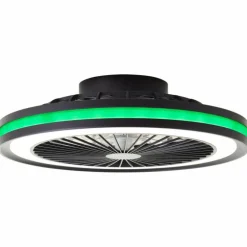 Ventilateur de plafond Brilliant Palmero Noir, 1 lumière, Télécommandes, Changeur de couleurs