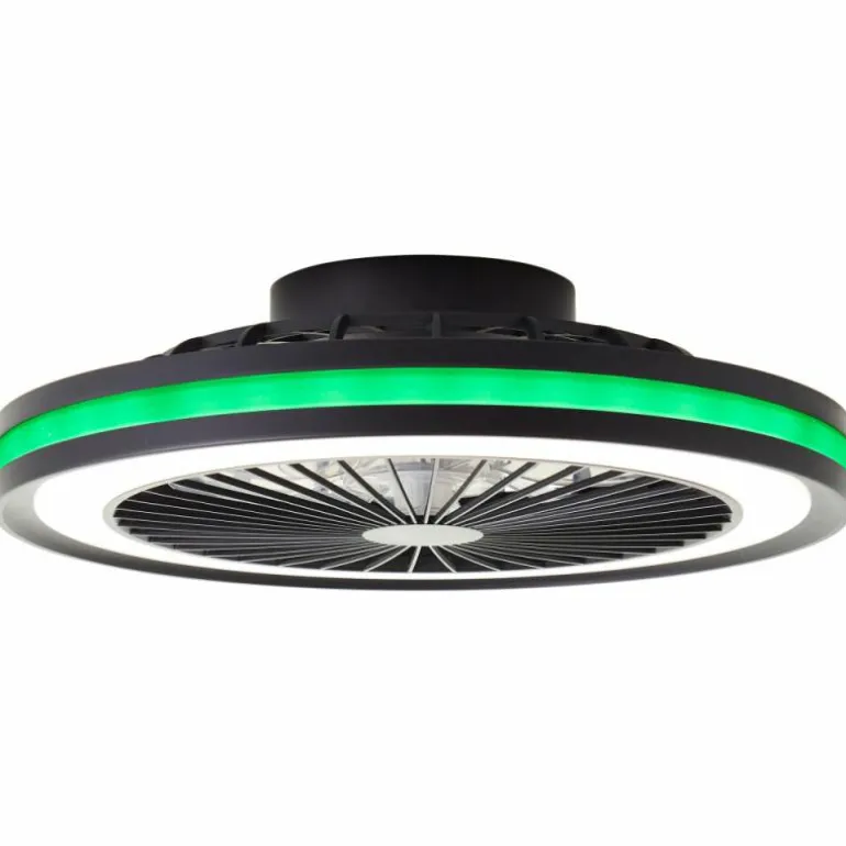 Ventilateur de plafond Brilliant Palmero Noir, 1 lumière, Télécommandes, Changeur de couleurs