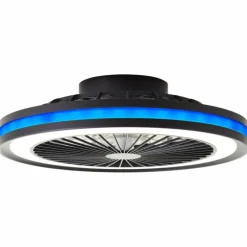 Ventilateur de plafond Brilliant Palmero Noir, 1 lumière, Télécommandes, Changeur de couleurs