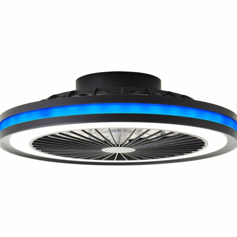 Ventilateur de plafond Brilliant Palmero Noir, 1 lumière, Télécommandes, Changeur de couleurs
