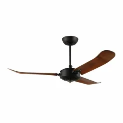 Ventilateur de plafond Eglo HOI AN Noir, Télécommandes