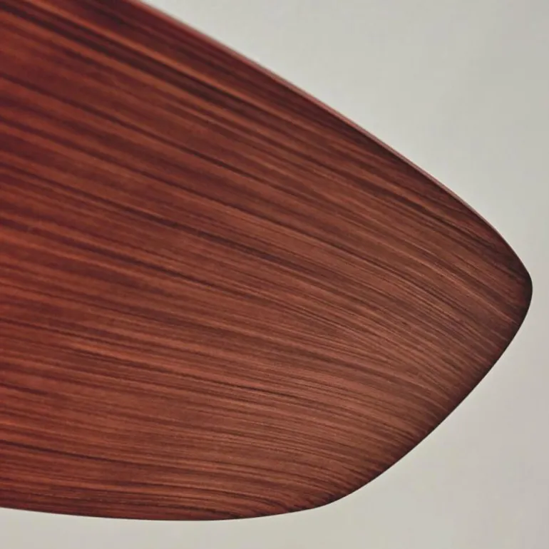 Ventilateur de plafond Follseland Brun, Couleur bois, Noir