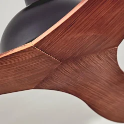 Ventilateur de plafond Follseland Brun, Couleur bois, Noir