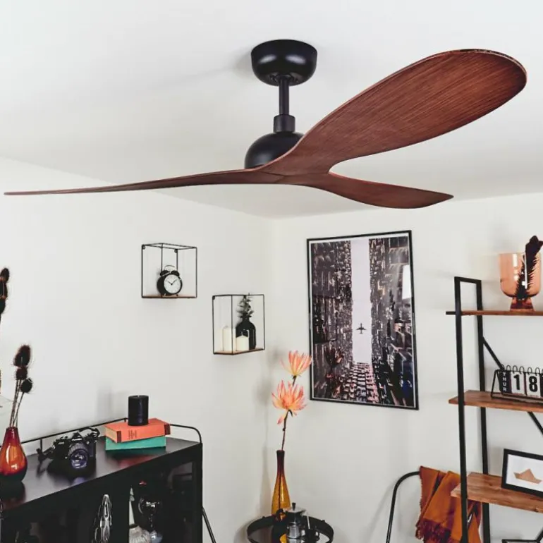 Ventilateur de plafond Follseland Brun, Couleur bois, Noir