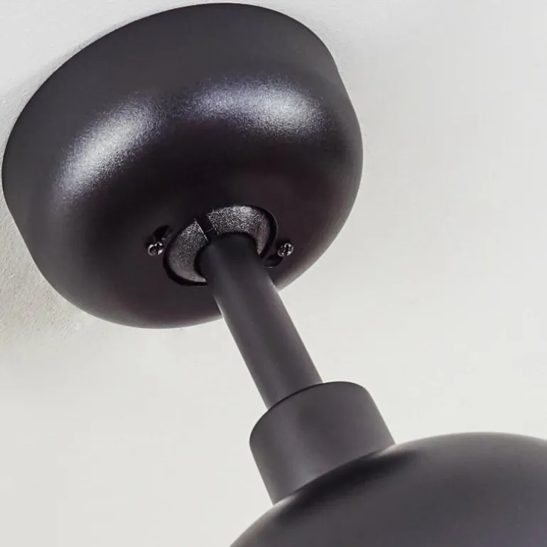 Ventilateur de plafond Follseland Brun, Couleur bois, Noir