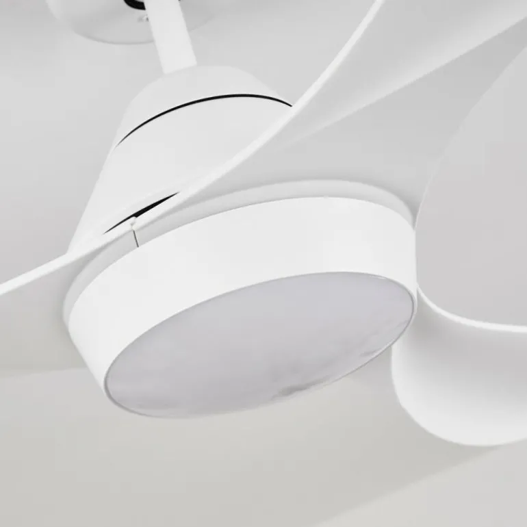 Ventilateur de plafond Follseland LED Blanc, 1 lumière, Télécommandes