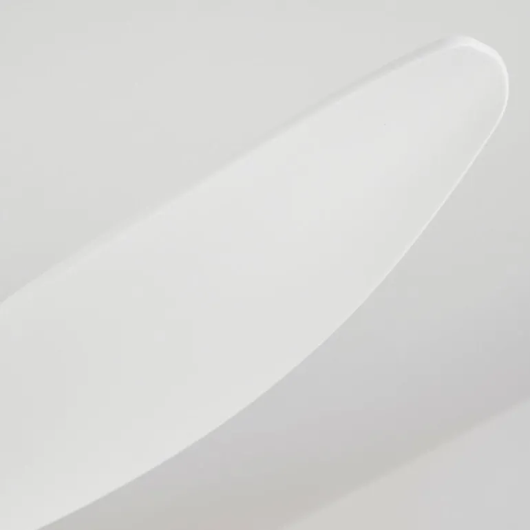 Ventilateur de plafond Follseland LED Blanc, 1 lumière, Télécommandes