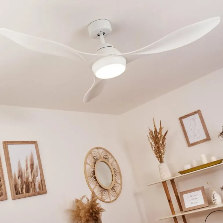 Ventilateur de plafond Follseland LED Blanc, 1 lumière, Télécommandes