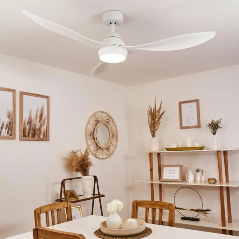 Ventilateur de plafond Follseland LED Blanc, 1 lumière, Télécommandes