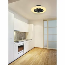 Ventilateur de plafond Globo TRAVO LED Noir, 1 lumière, Télécommandes