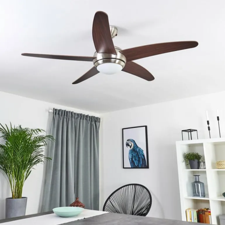 Ventilateur de plafond Imon Bois foncé, Nickel mat, 1 lumière, Télécommandes