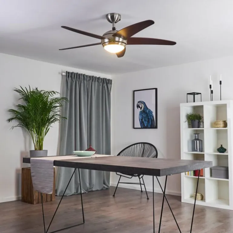 Ventilateur de plafond Imon Bois foncé, Nickel mat, 1 lumière, Télécommandes