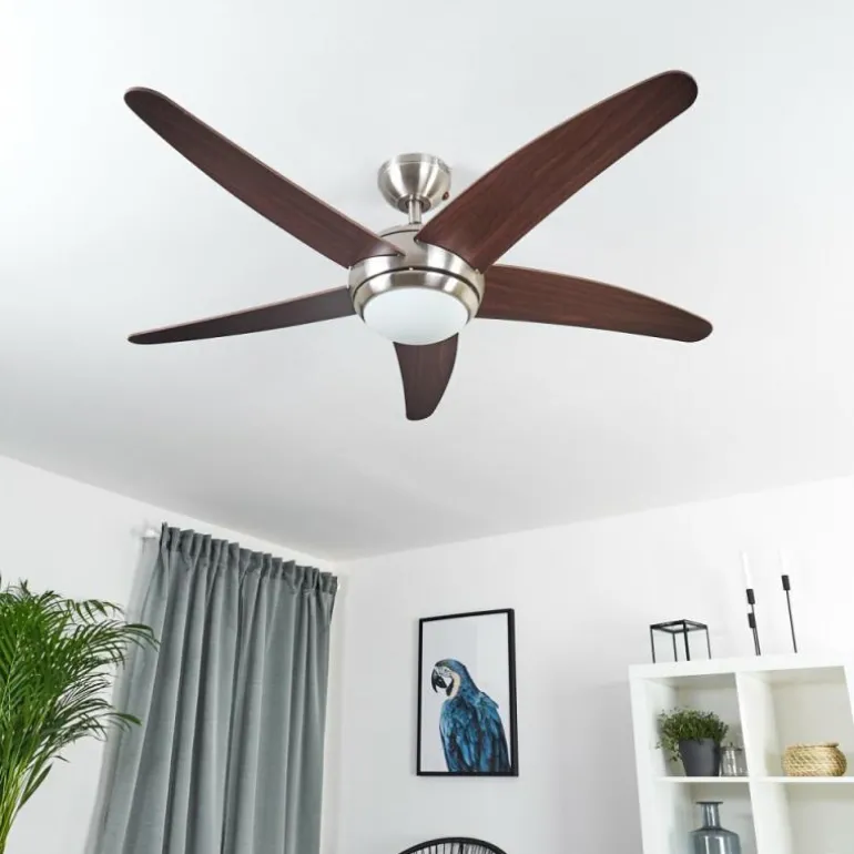 Ventilateur de plafond Imon Bois foncé, Nickel mat, 1 lumière, Télécommandes
