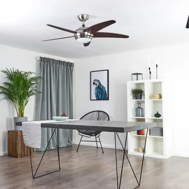 Ventilateur de plafond Imon Bois foncé, Nickel mat, 1 lumière, Télécommandes