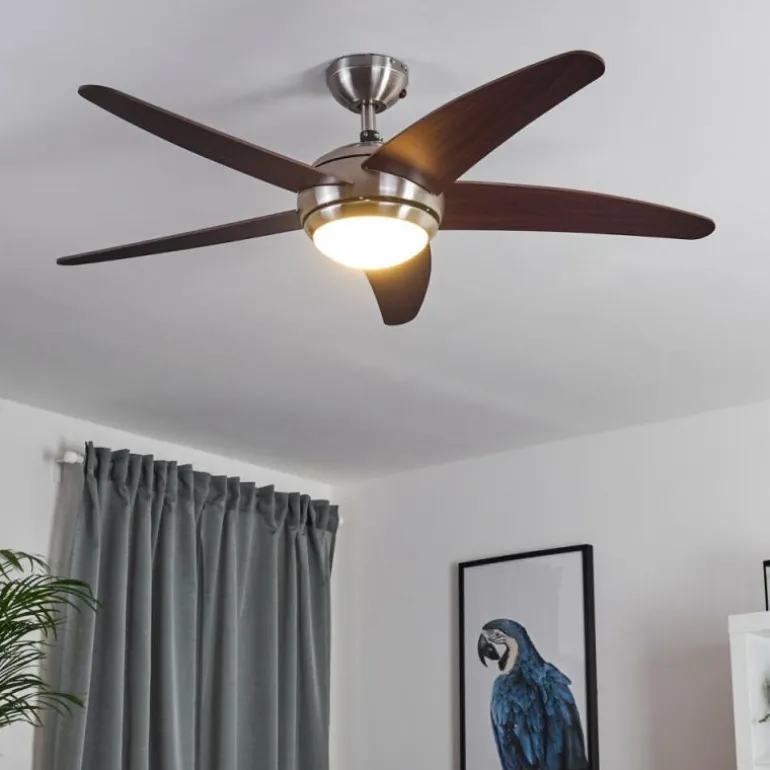 Ventilateur de plafond Imon Bois foncé, Nickel mat, 1 lumière, Télécommandes