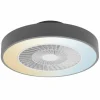 Ventilateur de plafond LEDVANCE Smart Gris, 1 lumière, Télécommandes