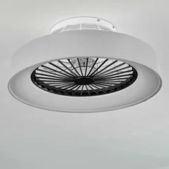 Ventilateur de plafond Moli LED Gris, Blanc, 1 lumière, Télécommandes
