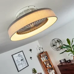 Ventilateur de plafond Moli LED Gris, Blanc, 1 lumière, Télécommandes