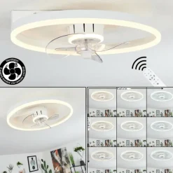 Ventilateur de plafond Oleiro LED Gris, Blanc, 1 lumière, Télécommandes