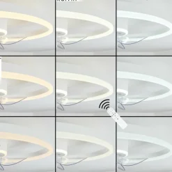 Ventilateur de plafond Oleiro LED Gris, Blanc, 1 lumière, Télécommandes