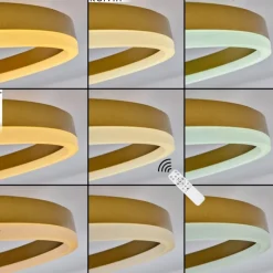 Ventilateur de plafond Oleiro LED Or, Noir, Blanc, 1 lumière, Télécommandes